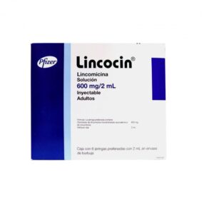 LINCOCIN JGA 6 2ML 600MG AD LINCOMICINA ANTIBIOTICO