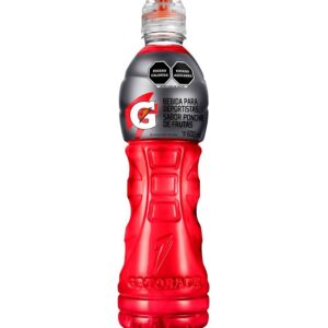 GATORADE PONCHE DE FRUTAS 600ML