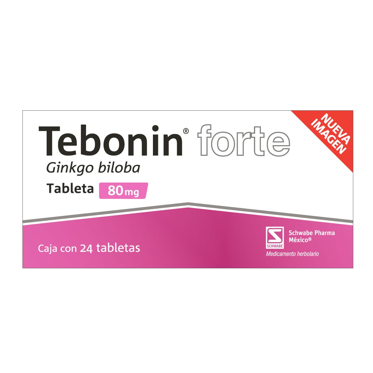 TEBONIN FTE GRAG 24 80MG GPO IV
