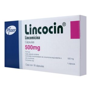 LINCOCIN 500MG CAPS 16 LINCOMICINA ANTIBIOTICO