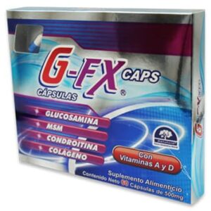 GI G FX CAPS C 60CAP 500MG GLUCOSAMINA MSM CONDROITINA COLAGENO